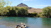 rio chimehuin