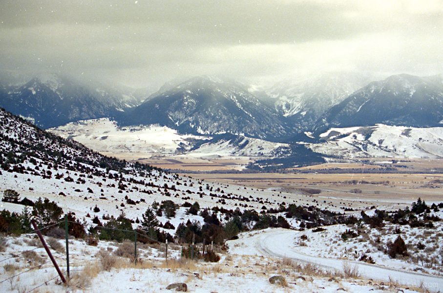 1988