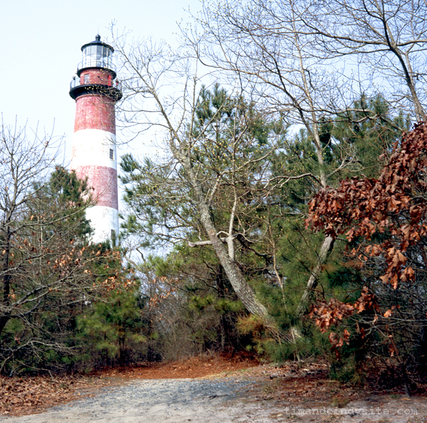 assateague
