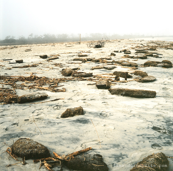 assateague