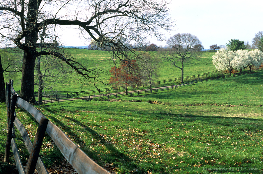 loudoun county