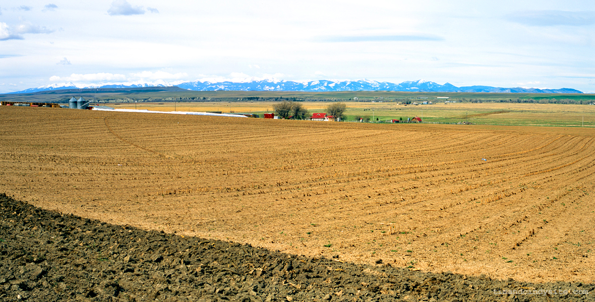 madison valley