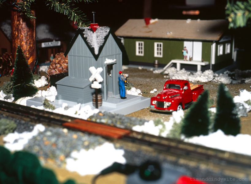 tall pines
