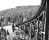 austin trestle