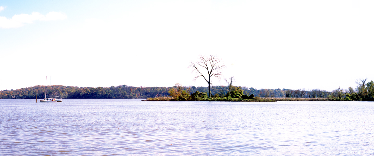 dyke marsh