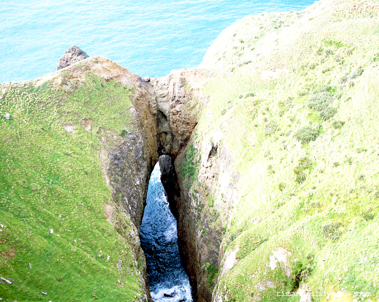 the chasm