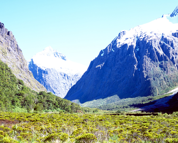 fiordland