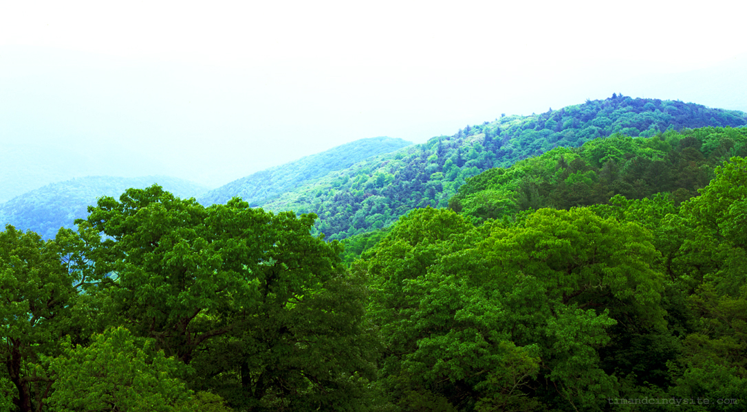 reddish knob