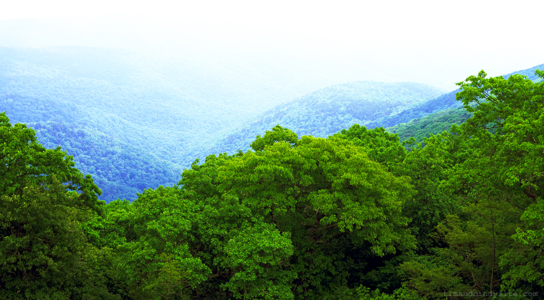 reddish knob