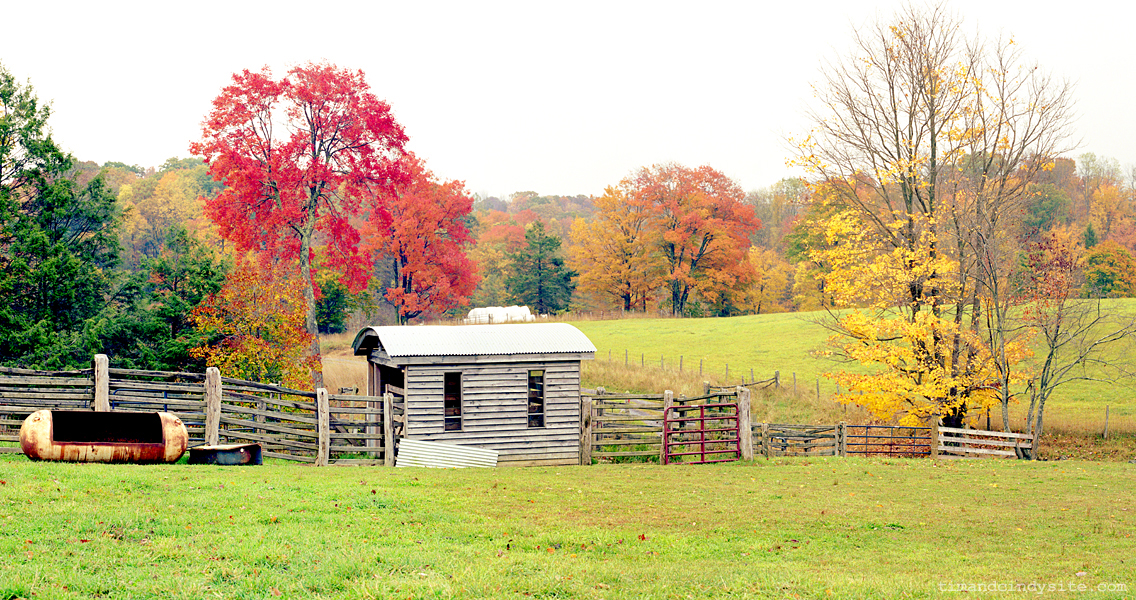 horse camp