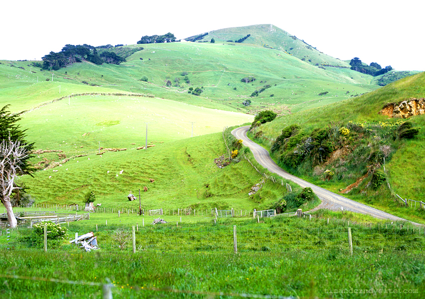 ridge road