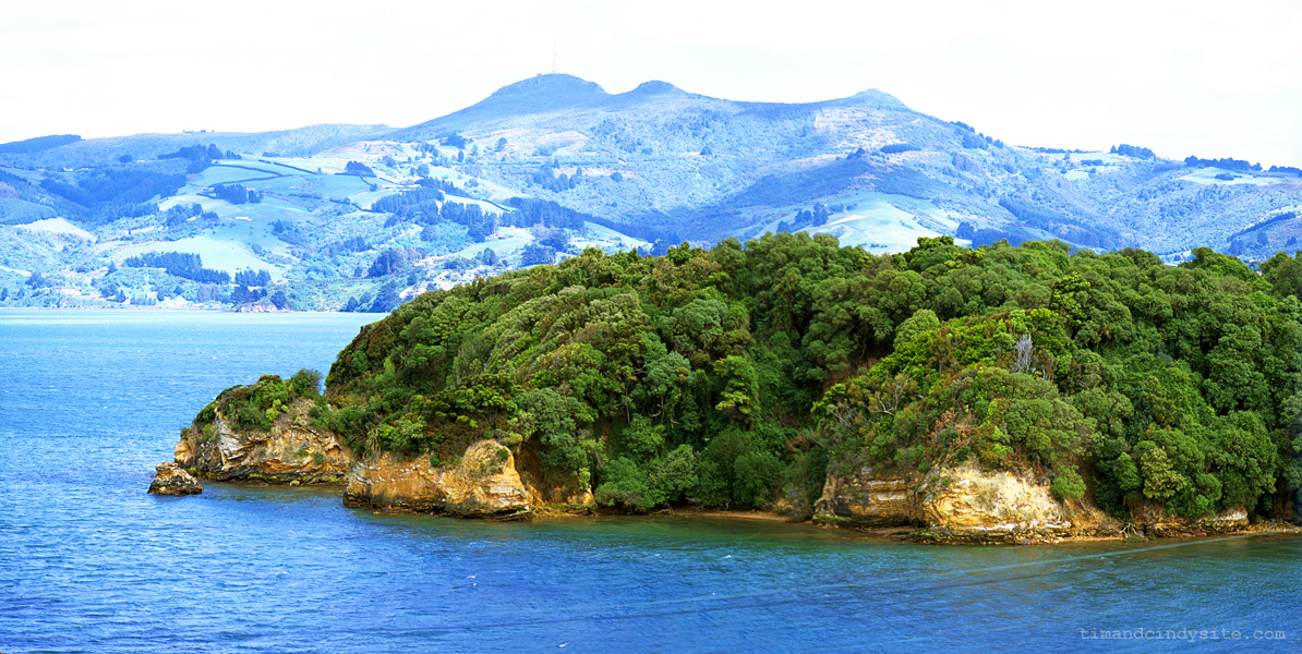 pudding island