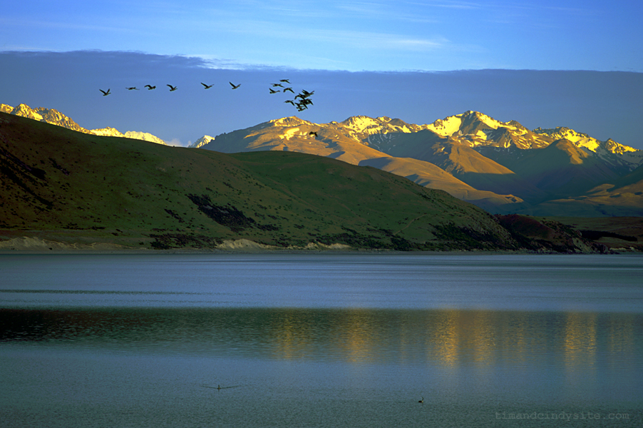 lake tekapo