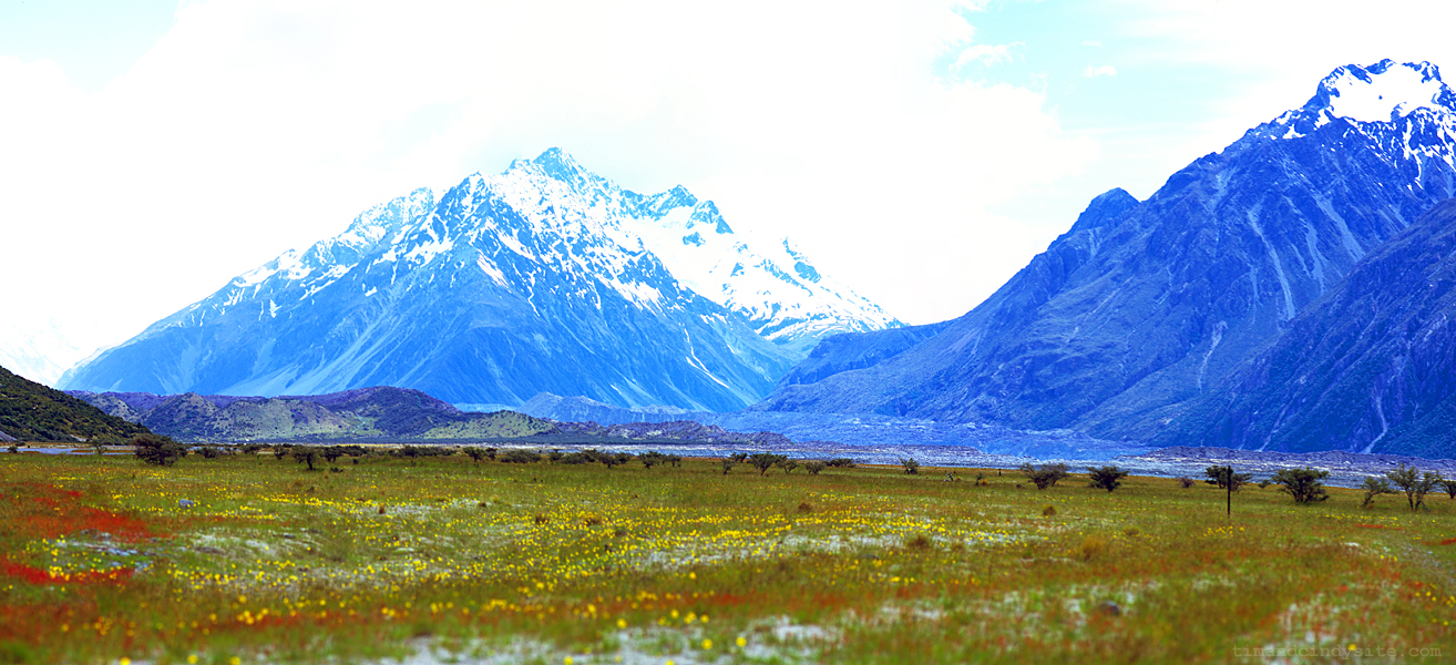 tasman valley