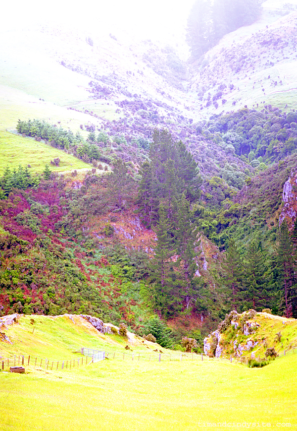 pareora river gorge