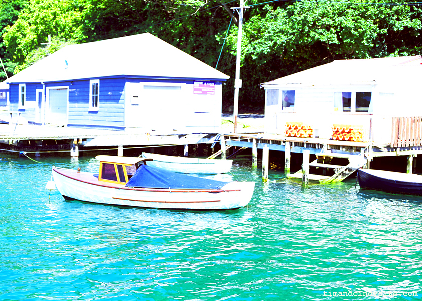 port chalmers yacht club