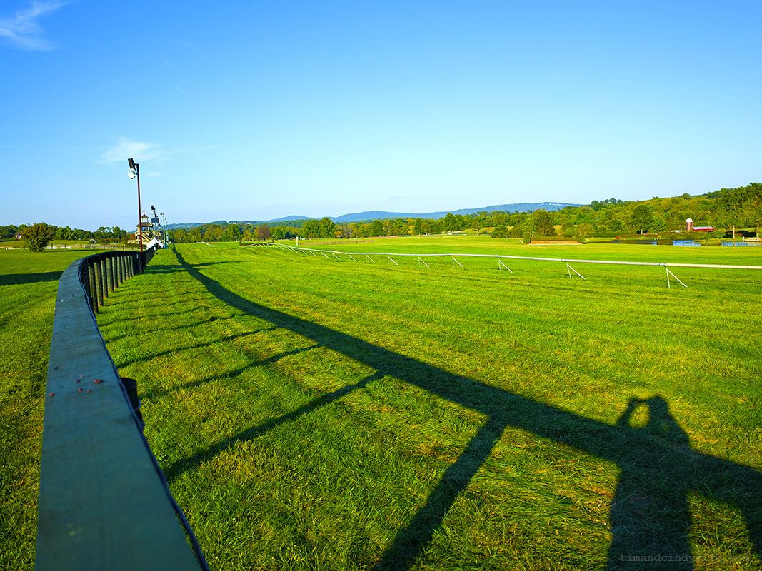 great meadow