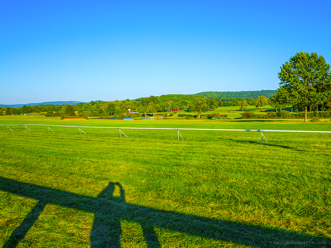 great meadow