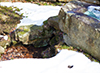 fairfax stone - source of the potomac