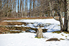 fairfax stone