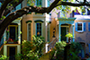 savannah