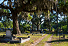 savannah (stephanie)