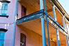 savannah