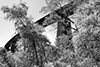 pleasant creek trestle
