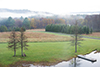 tamarack