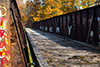 tamarack