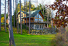 tamarack