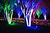 botanical gardens christmas lights
