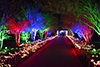 botanical gardens christmas lights