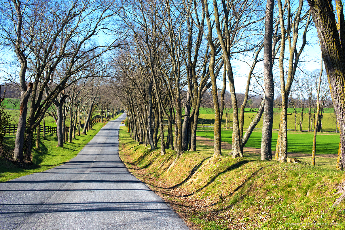 clarke county