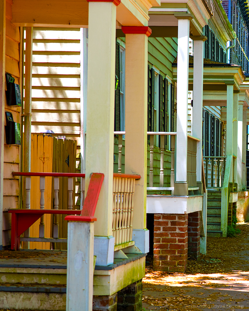 savannah