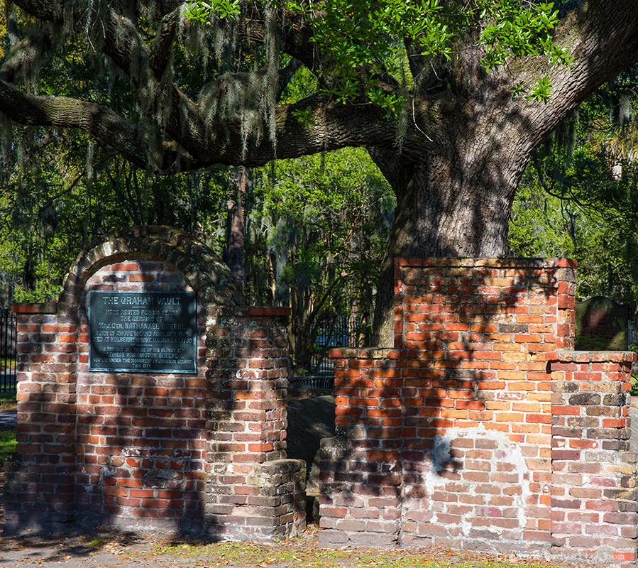 savannah