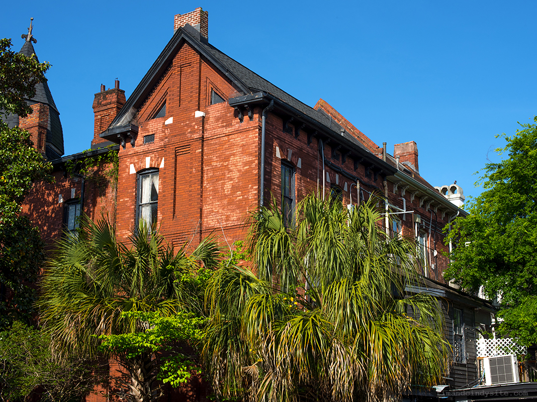 savannah