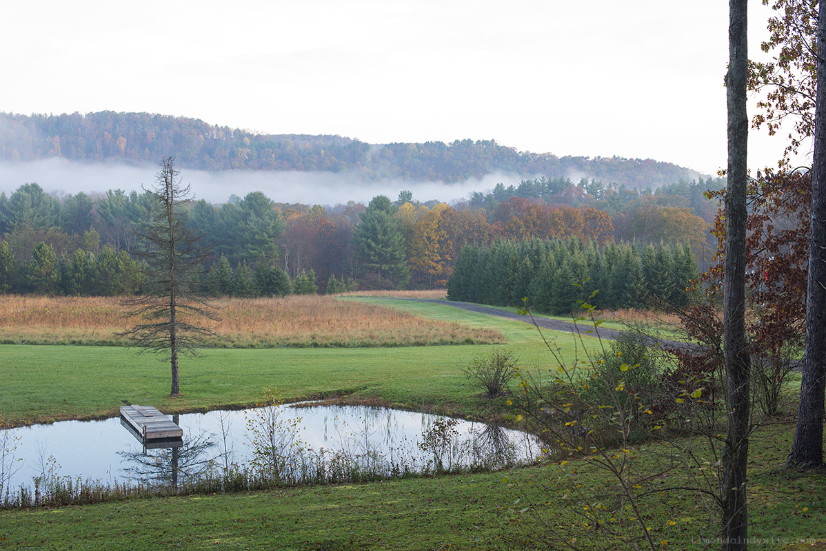 tamarack