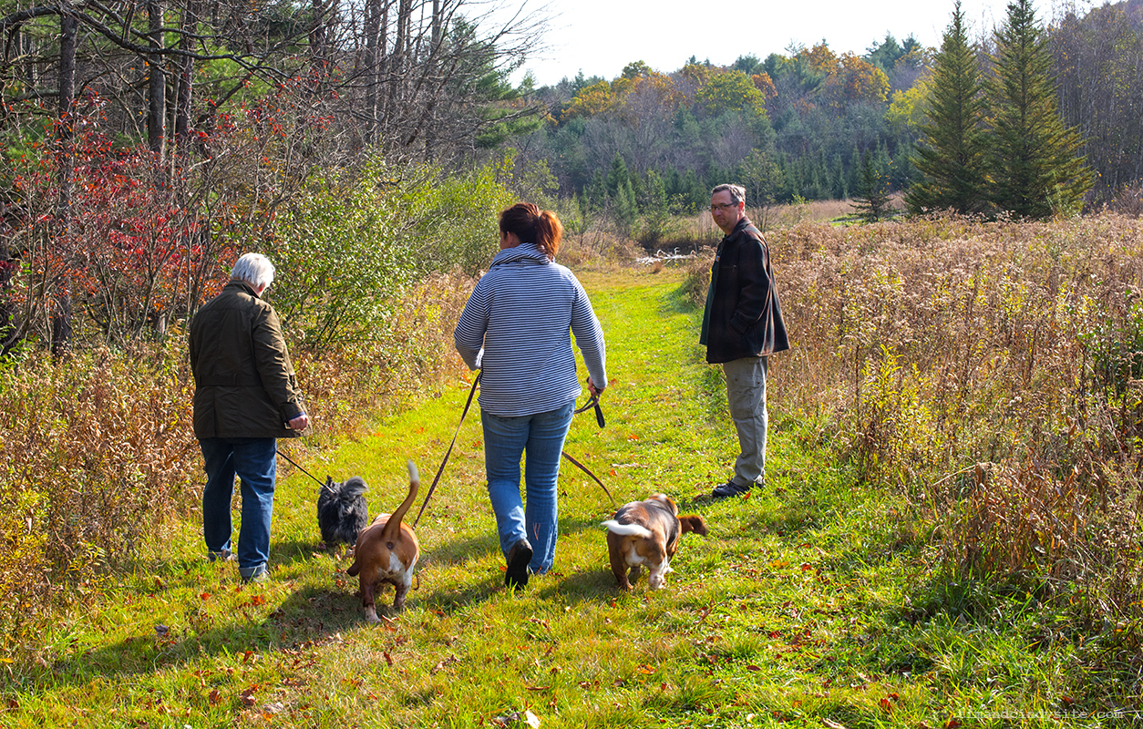 cindy, laura, patterson, jimmy, mabel, luba