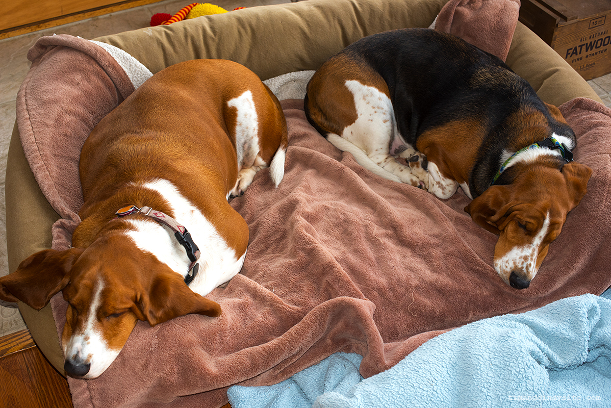 luba and mabel