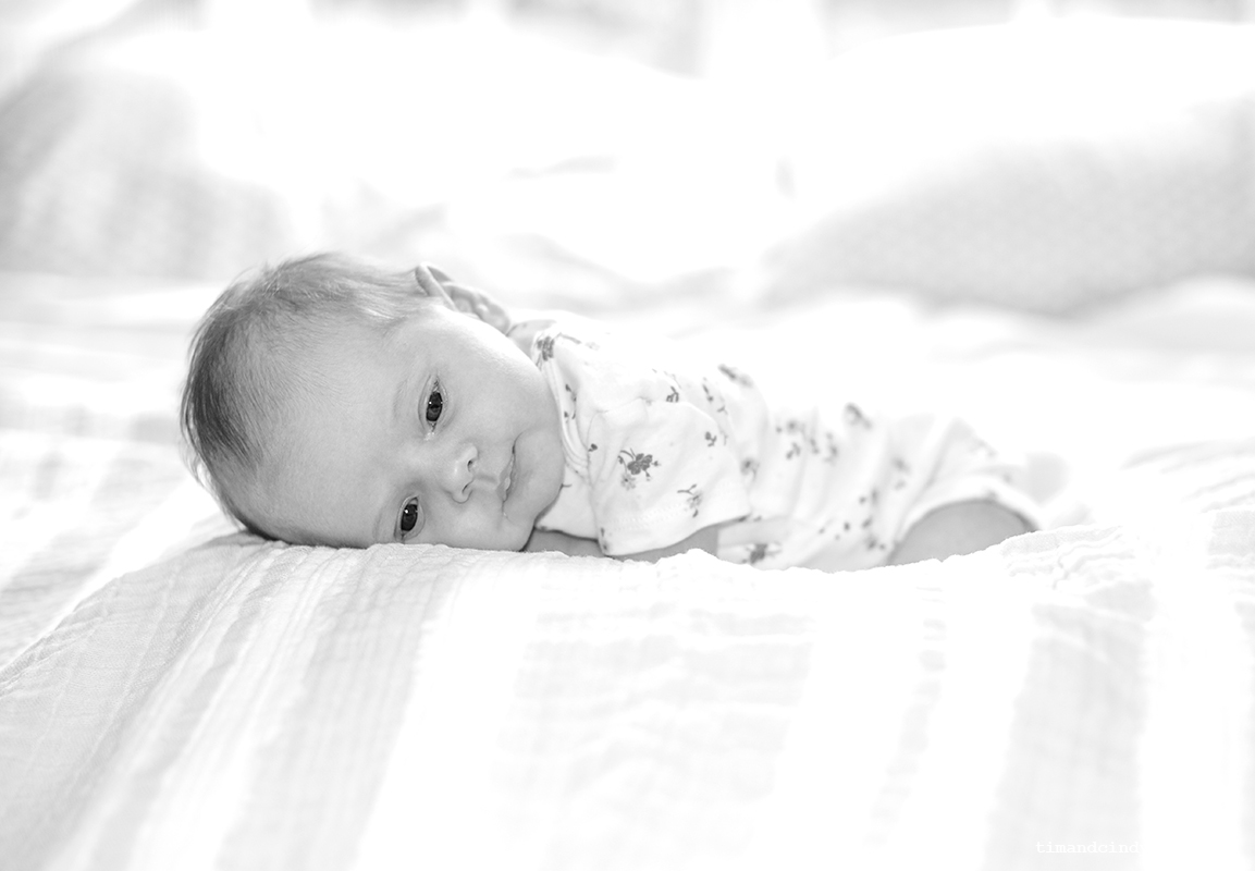 ellie