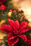 garland