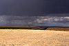 eastern washington
