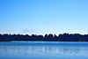 lakewood