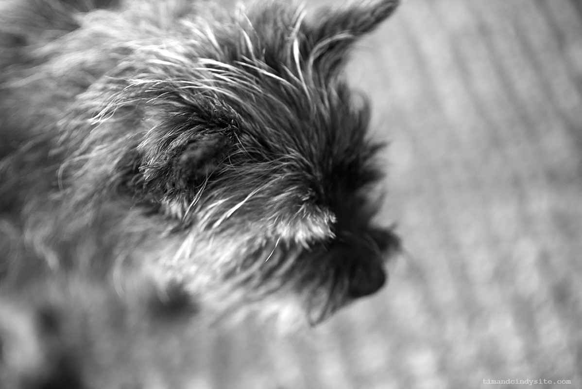 jimmy