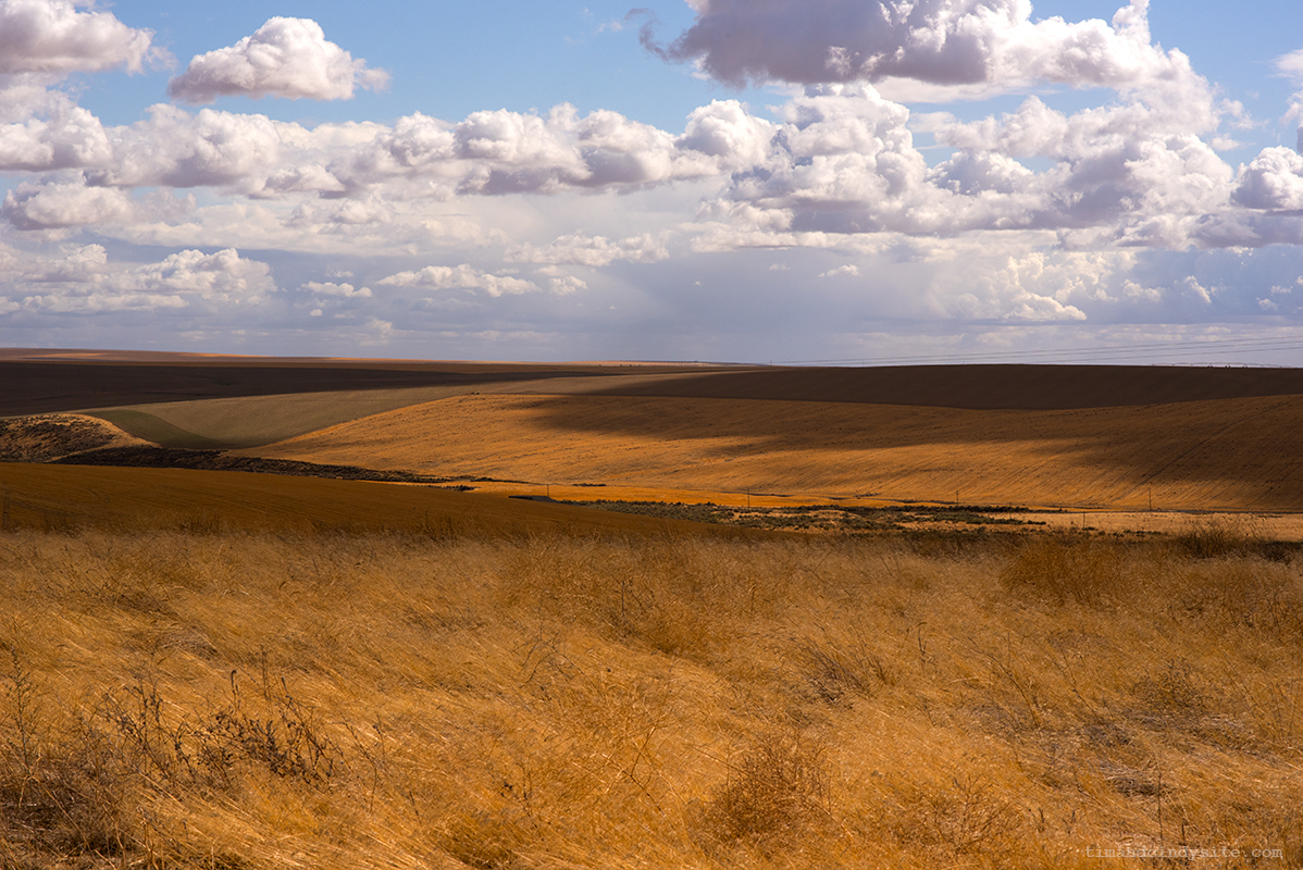 eastern washington