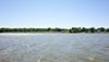 potomac river
