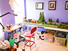 tall spruce