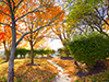 hyland hills