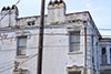 savannah